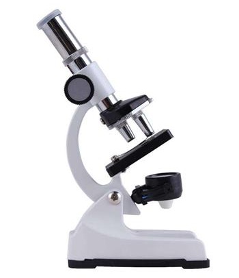 显微镜是谁发明的？显微镜结构图