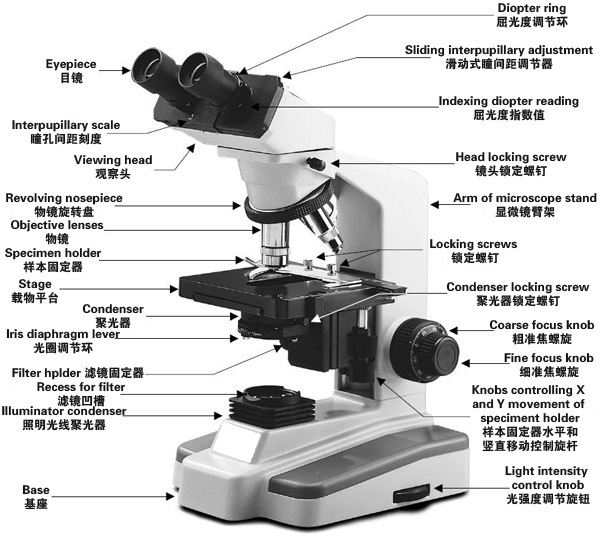 显微镜操作