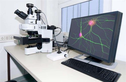 电子显微镜原理及技术应用