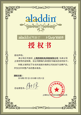 1530694979690375.jpg 15. Aladdin 阿拉丁.jpg