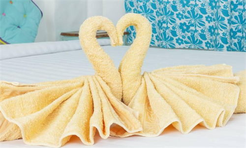 毛巾叠天鹅的步骤图片图片
